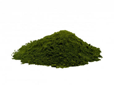 Chlorella vulgaris Pulver 10g